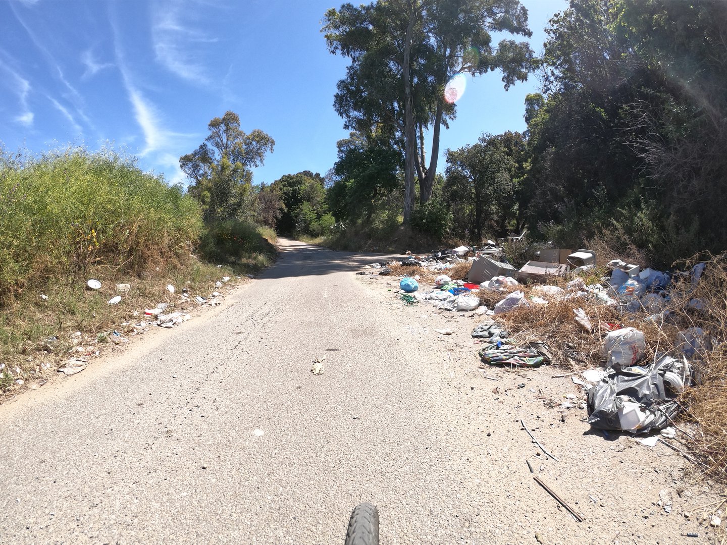 Regelmäßiger Anblick von Straßenrändern hinter Palmi